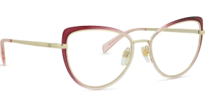 LevisLV105094B1854