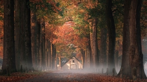 Tuinschilderijochtenddauw70x50cmCustomize-it-Customizeit