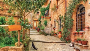 Steegkatten130x70cmTuinschilderij-Customizeit