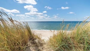 Strandduinen130x70cmTuinschilderij-Customizeit