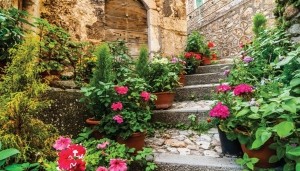 Trapmetgeraniums130x70cmTuinschilderij-Customizeit