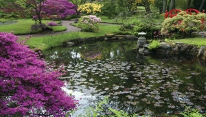 Aziatischetuin130x70cmTuinschilderijCustomize-it-Customizeit