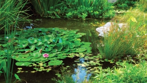 Vijver70x130cmTuinschilderijCustomize-it-Customizeit