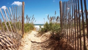 Strandidylle130x70cmTuinschilderijCustomize-it-Customizeit