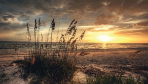 Strandavond130x70cmTuinschilderijCustomize-it-Customizeit