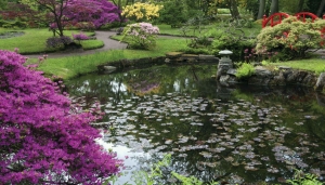 Tuinvijver130x70cmTuinschilderij-Customizeit