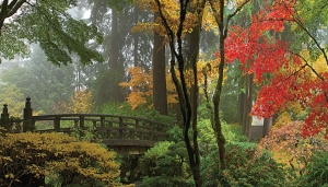 Brug130x70cmTuinschilderijCustomize-it-Customizeit