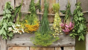 Bosjeskruiden130x70cmTuinschilderijCustomize-it-Customizeit