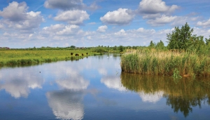 Waterwolk130x70cmTuinschilderijCustomize-it-Customizeit