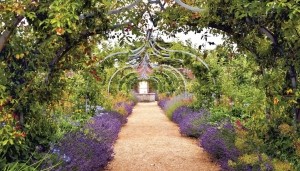 Lavendeltuin130x70cmTuinschilderijCustomize-it-Customizeit