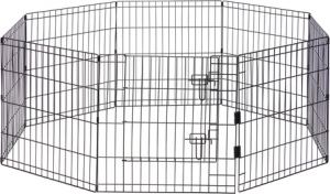 BZPREMPUPPYRENDEURTEDZWT60