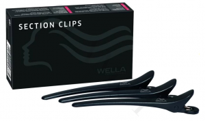 WellaSectionClips