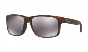 OAKLEYHolbrookZonnebrilSR1
