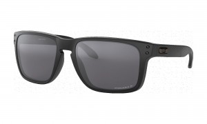 OAKLEYHolbrookXLZonnebrilSR1