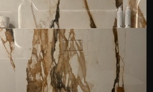 BetegelbareDrukplaatBWSFlushGeschiktvoorGeberitSigmaDeltaTECE