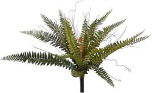 Bostonvarenh43cmgroenPureRoyal-Pureroyal