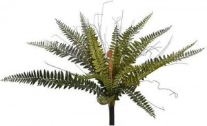 Bostonvarenh43cmgroenPureRoyal-Pureroyal