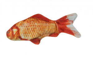WildLifeCatGoldfishGoudvis