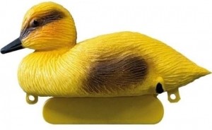 DecokleineeendgeelAquadistri-Aquadistri