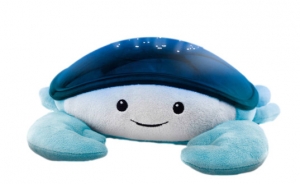 ZazuCodydeKrabBlauwOceanProjectorZA-CODY-01
