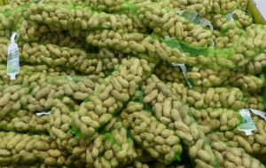 Vogelvoerpindastreng-Warentuinmix