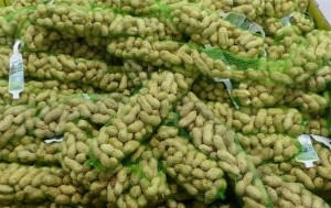 Vogelvoerpindastreng-Warentuinmix