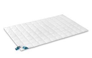 VandyckZomerdonszomerdekbed