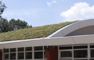 DakgroenSedummixmatCompleetincldrainagetype11c3zakkendaktuinsubstraatper12m2max25gradenSempergreen-Sempergreen