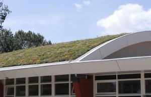 DakgroenSedummixmatCompleetincldrainagetype11c3zakkendaktuinsubstraatper12m2max25gradenSempergreen-Sempergreen