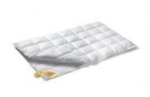 VandyckAstro90duodonsdekbedOPOP