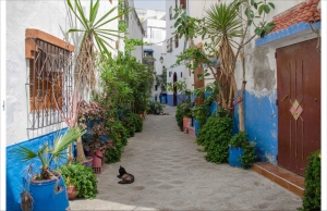 Tuindoekmarokko210x140cmCustomize-it-Customizeit