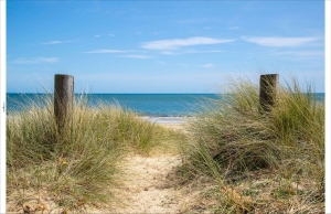 Tuindoekduinpalen210x140cmCustomize-it-Customizeit