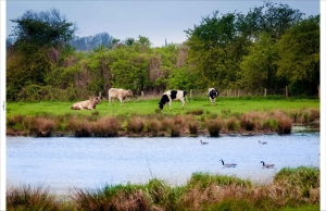 Tuindoekpolder210x140cmCustomize-it-Customizeit