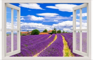 Tuindoekraamfrankrijk210x140cmCustomize-it-Customizeit