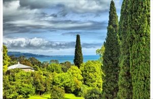 Tuindoekcypressen210x140cmgrnCustomize-it-Customizeit