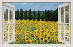 RaamZonnebloem140x90cmTuindoek-Customizeit