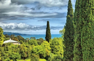 Cypressen140x90cmTuindoekCustomize-it-Customizeit