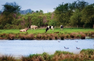 Polder140x90cmTuindoekCustomize-it-Customizeit