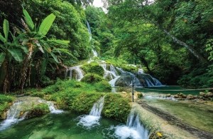 Watervalletjes140x90cmTuindoekCustomize-it-Customizeit