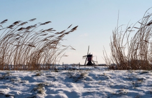 Tuinschilderijmolensneeuw70x50cmCustomize-it-Customizeit