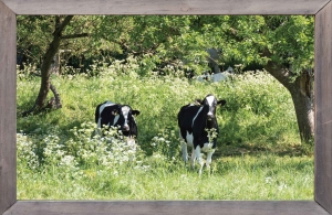 lijsthoutflkruidkoe140x90cmTuindoekCustomize-it-Customizeit