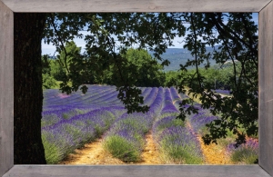 lijsthtlavendelveld140x90cmTuindoekCustomize-it-Customizeit