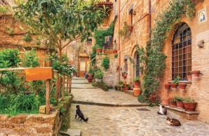 Tuindoeksteegkatten210x140cmCustomize-it-Customizeit