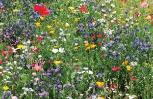 Bloemenveld140x90cmTuindoek-Customizeit