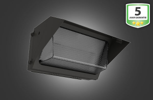 LEDWandlampPro60W
