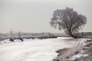 Tuinschilderijpolderwinter70x50-Customizeit