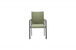 Dallasdiningfauteuilcarbonblackmossgreen-Gardenimpressions
