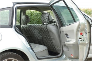 BZVEILIGHEIDSNETVOORAUTO86X64