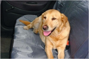 BZAUTODEKENUNIVERSEEL110X130