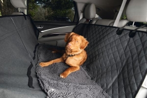 DIRTYDOGAUTODEKENGRS136X148